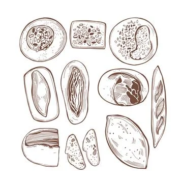 Bread. Sketch illustration. Illustrazione stock