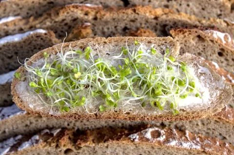 A bread slice with butter and sprouts Stock Photos
