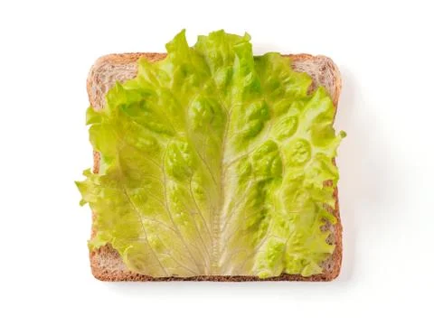 Bread slice with lettuce leaf isolated on white 스톡 사진