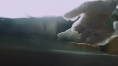 Bread slice lifted after stamping a christmas star Stock Footage 342127122