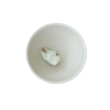 Bread slices isolated on white background Stock Photos