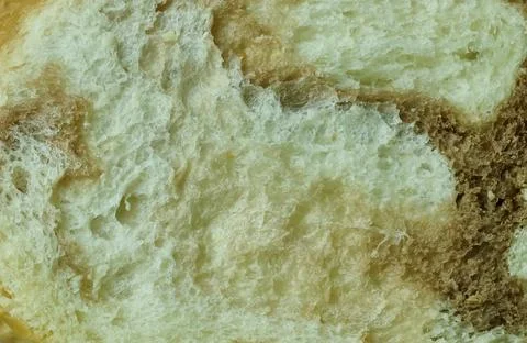 Bread Slices with marble Textured Stock Photos