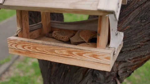 Bread slices on worn surface. Intimate scene showing bread crumbs and crusts on Stock Footage 335769711