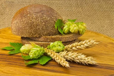 Bread spikelets hop Stock Photos