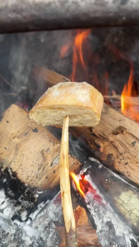 Bread on a Stick and Tea on the Fire Forest Cooking Adventure Stock Footage 296501420