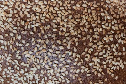 Bread texture with caraway seeds, macro Stock Photos