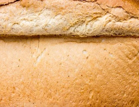 The Bread texture. Stock Photos