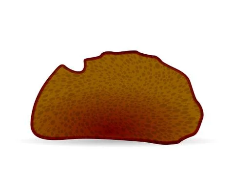 Bread toast Stock Illustration