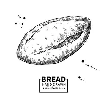 Bread vector drawing. Bakery product sketch. Vintage food Stock Illustration