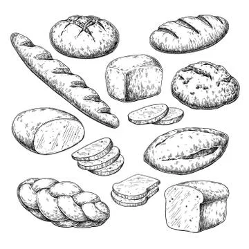 Bread vector drawing. Bakery product sketch. Vintage food Stock Illustration