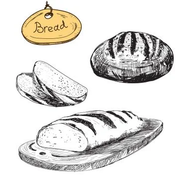 Bread. Vector hand drawn illustrations set Stock Illustration