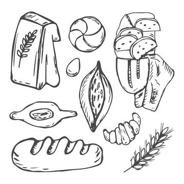 Bread vector hand drawn set illustration. Other types of wheat, flour fresh.. Stock Illustration