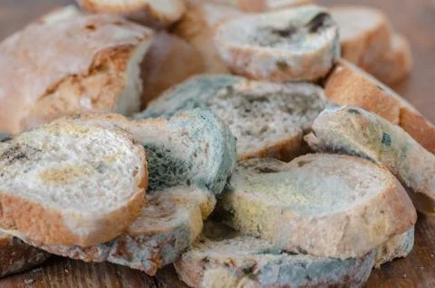 Bread wastage and Moldy bread slices Stock Photos