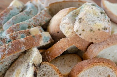 Bread wastage and Moldy bread slices Stock Photos