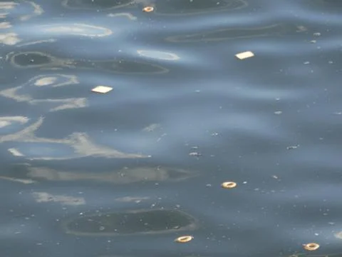 Bread in the waves. Stock Photos