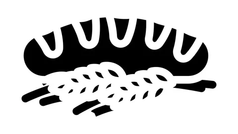 Bread wheat ears glyph icon animation Stock Footage 326745713