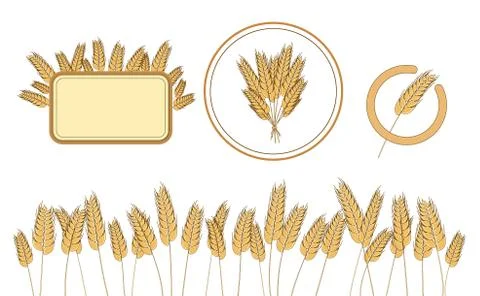 Bread wheat logo and design elements. Wholegrain organic harvest. Vector Stock Illustration