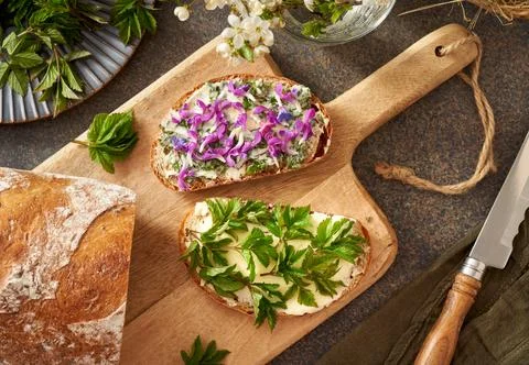Bread with wild edible spring plants - ground elder, lungwort and purple dead Stock Photos