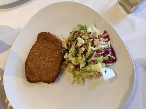 Breaded cutlet with mixed salad on a white plate. Stock Photos
