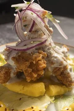 Breaded fish with tartar sauce, mashed sweet potato, lettuce, and red onion.. Stock Photos