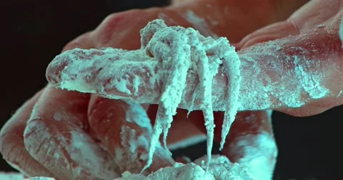 Breaded octopus Stock Footage 162656969