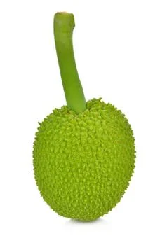 Breadfruit isolate on white background Stock Photos