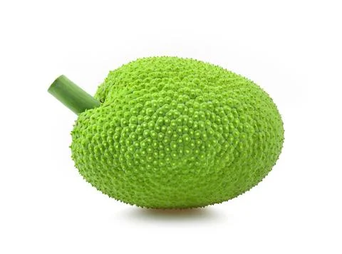 Breadfruit isolated on white background 스톡 사진