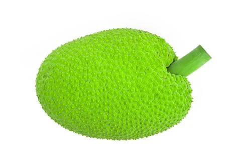 Breadfruit isolated on white background. Top view Stock Photos