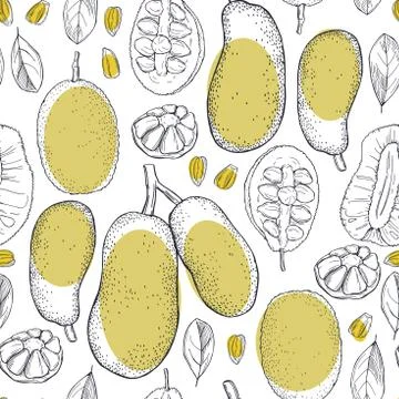 Breadfruit (jackfruit). Vector seamless pattern. Stockillustratie
