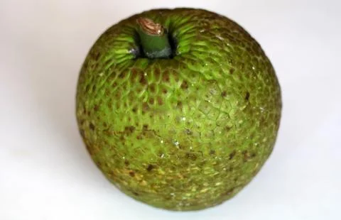 Breadfruit Stock Photos