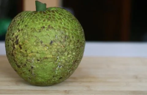 Breadfruit Stock Photos