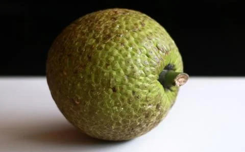 Breadfruit Stock Photos