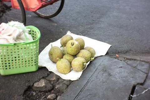 Breadfruit. Stock Photos