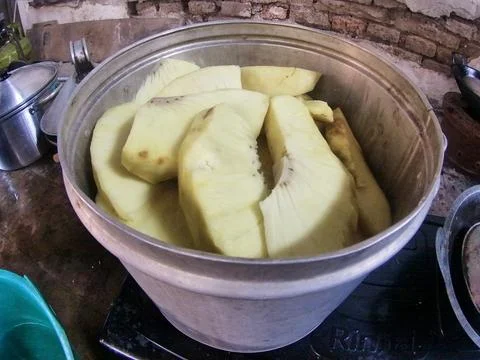 The breadfruit Stock Photos