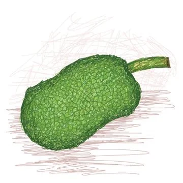 Breadfruit seeded variety whole Stock Illustration