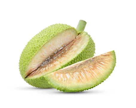 Breadfruit on white background Stock Photos