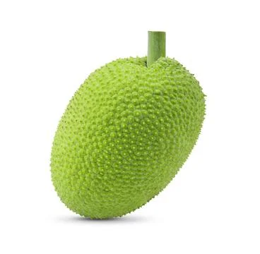 Breadfruit on white background Stock Photos