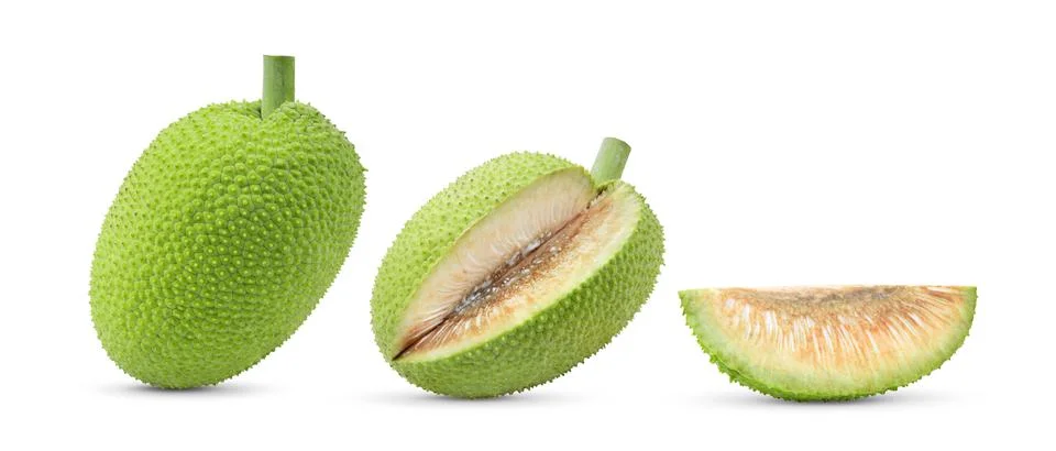 Breadfruit on white background Stock Photos