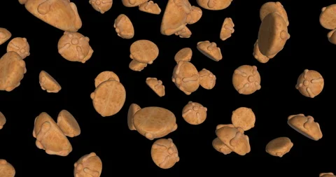 Breads of the Dead falling in slow motion Stock Footage 251745164