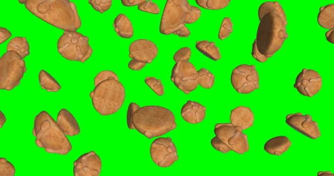 Breads of the Dead falling in slow motion Stock Footage 251745378