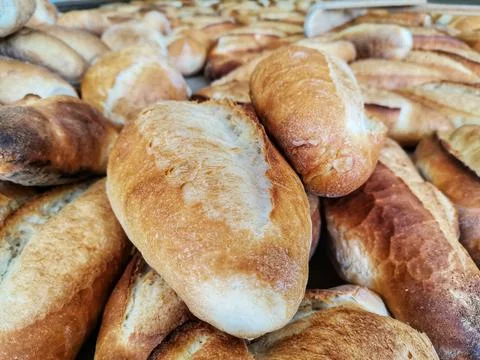 Breads. Fresh breads in the bakery. Stock Photos