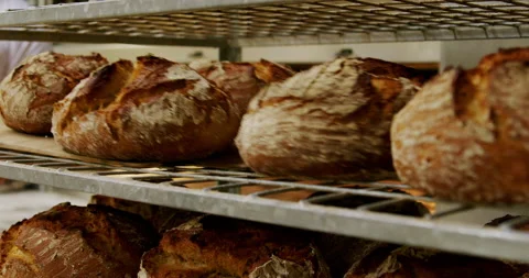 Breads fresh out of the oven at a bakery 4K. Stock Footage 221567190