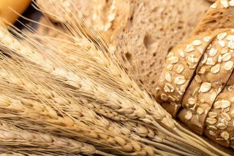 Breads sliced and wheatgrass Stock Photos