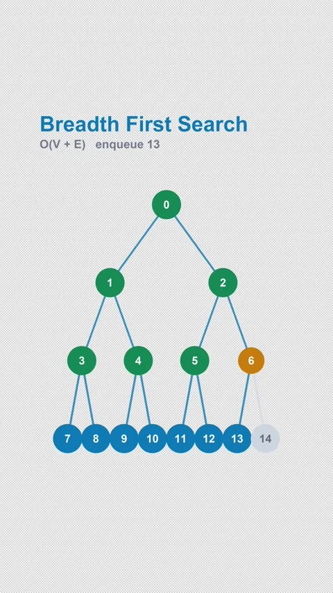 Breadth First Search Labeled Graph Traversal Alpha 4K Vertical 9x16 Light Video stock 339515567