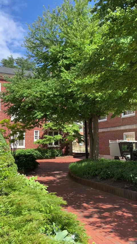 Break area in between some buildings with trees and shrubs Stock Footage 196117600