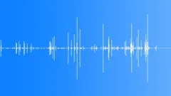 BREAK, BONESound Effect