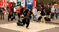 Break dance HD Footage