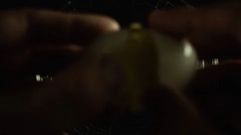 Break the egg into a bowl on the table top view. Slow mo Stock Footage 75534120