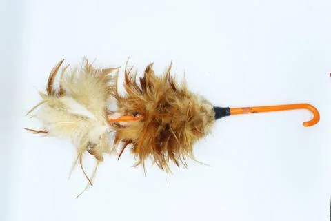 Break feather duster isolated on white background. Stock Photos