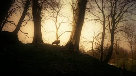 Break light Video stock 11069995